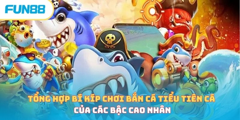 Tổng hợp bí kíp chơi bắn cá Tiểu Tiên Cá của các bậc cao nhân